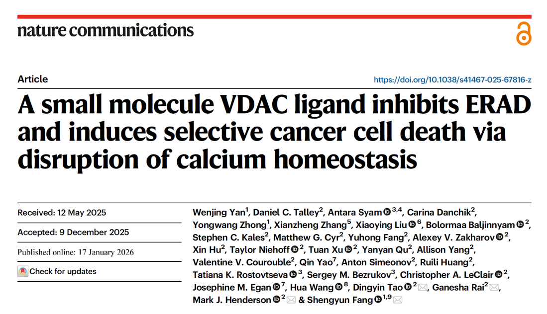 A small molecule VDAC ligand inhibits ERAD and induces selective cancer cell death via disruption of calcium homeostasis