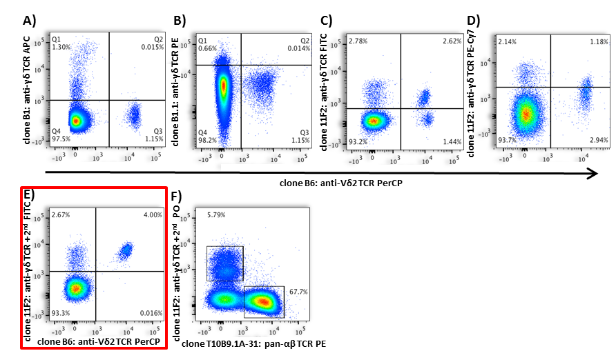 Differential flow cytometric detection of TCR γ/δ and TCR Vδ2 using distinct antibody clones
