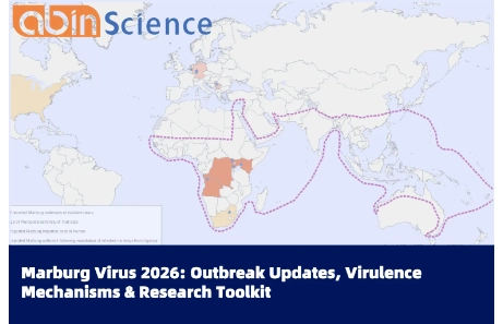 Marburg Virus 2026: Outbreak Updates, Virulence Mechanisms & Research Toolkit