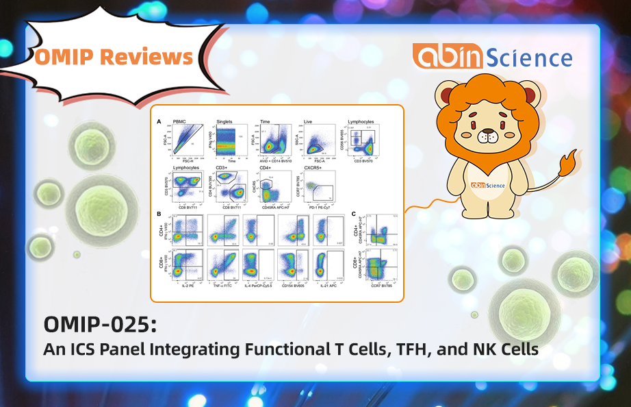 OMIP Reviews | OMIP-025 An Integrated ICS Panel for Functional T Cells, TFH, and NK Cell Analysis