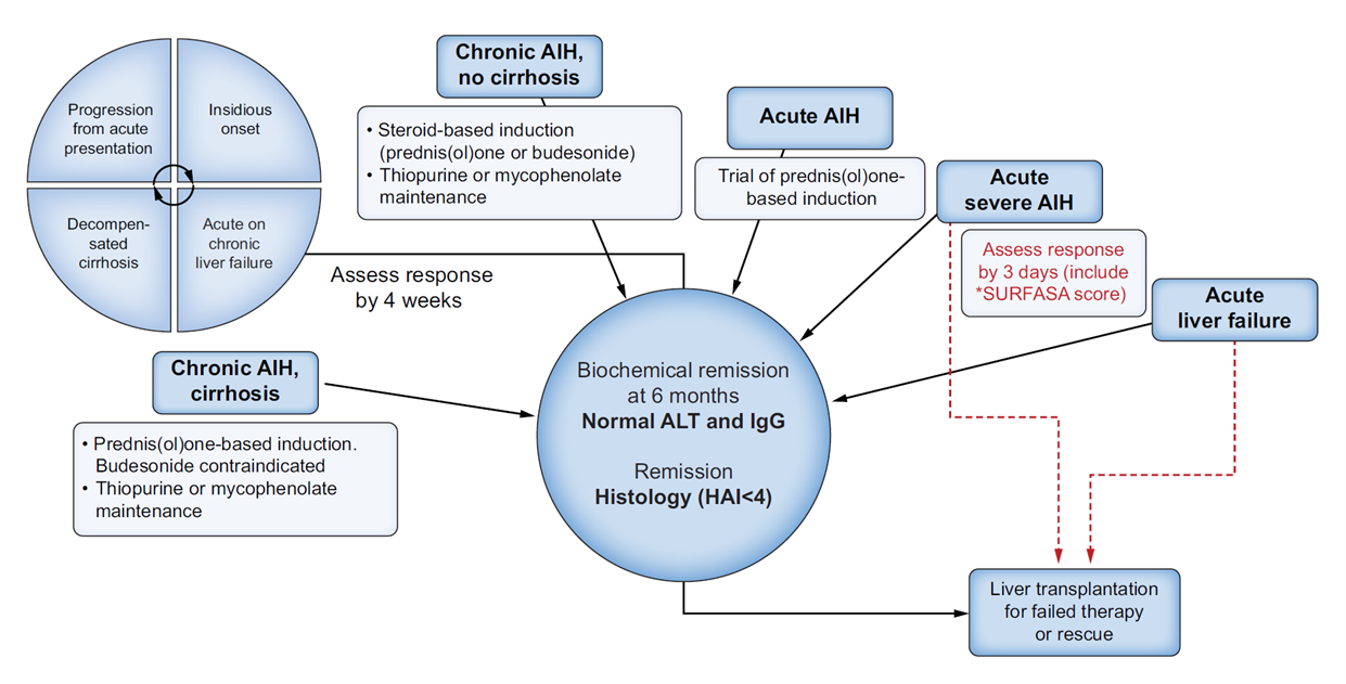 Spectrum and management options in autoimmune hepatitis