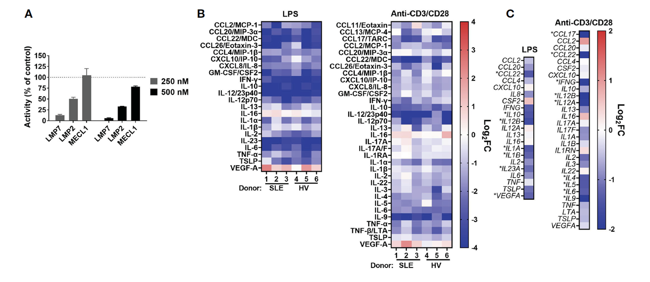 KZR-616 selectively inhibits the immunoproteasome and blocks cytokine production in human PBMCs