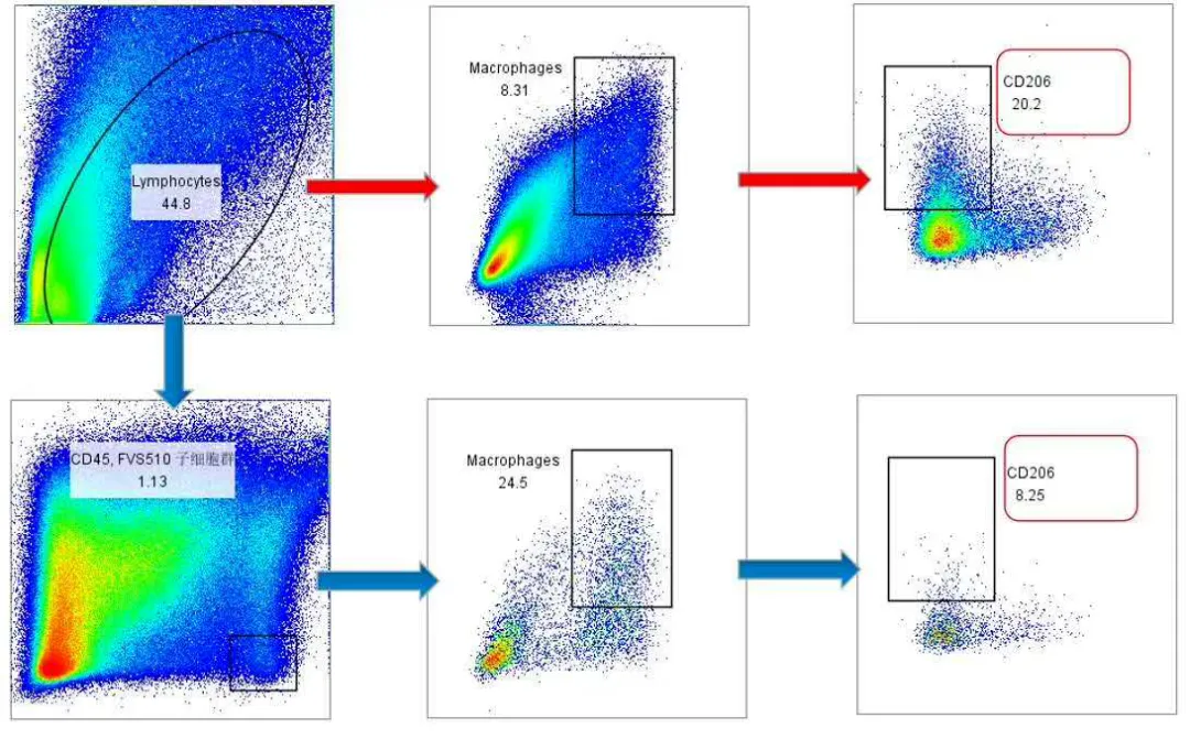 Without viability staining and CD45 gating, CD11b⁺F4/80⁺ macrophage populations appear poorly resolved, and CD206 signals are abnormally elevated