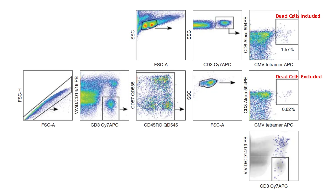 False-positive signals caused by dead cells