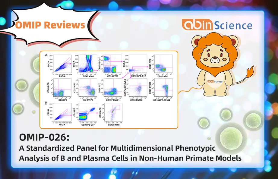 OMIP Reviews | OMIP-026: A Standardized Panel for Multidimensional Phenotypic Analysis of B and Plasma Cells in Non-Human Primate Models