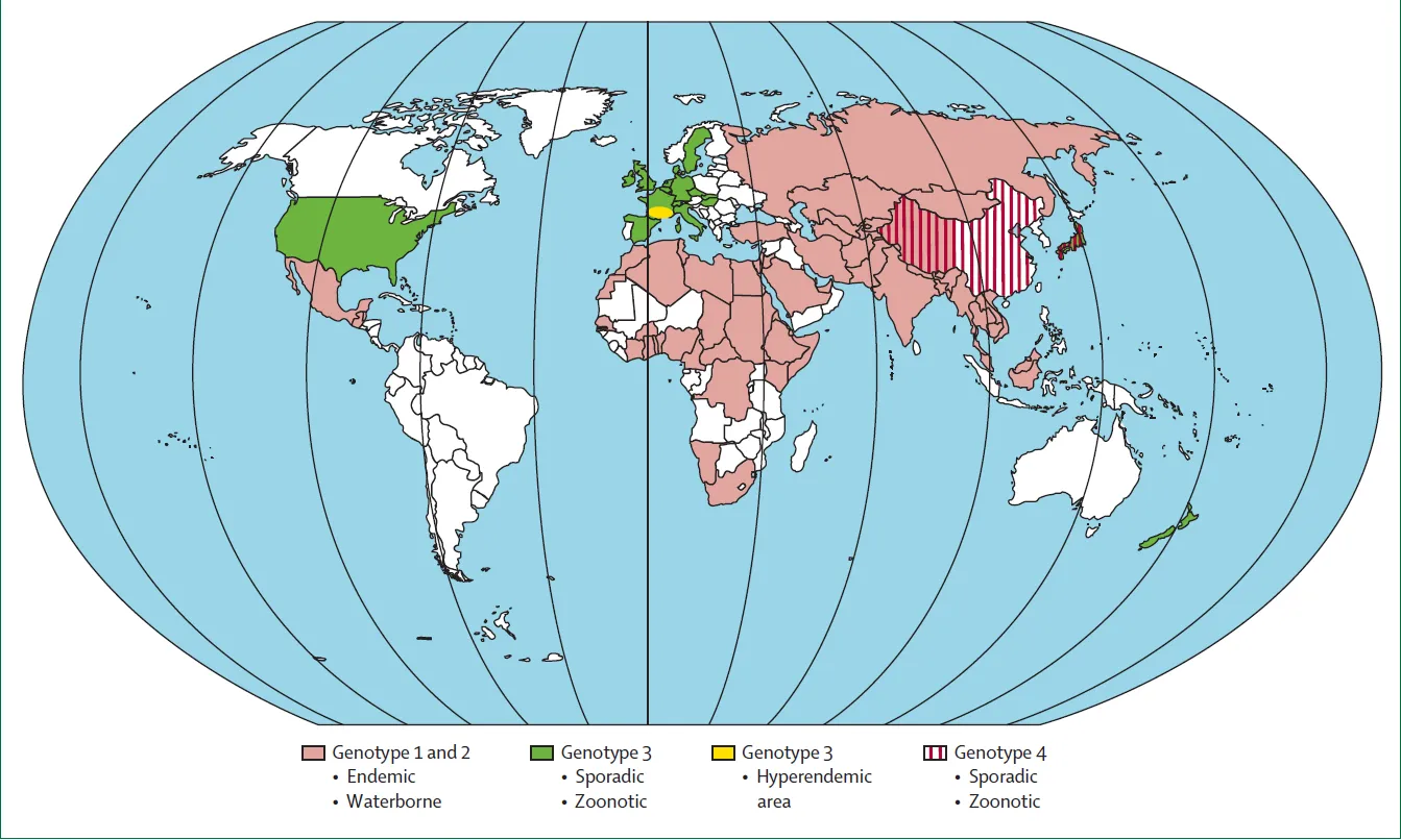 Worldwide distribution of clinical cases of HEV infection