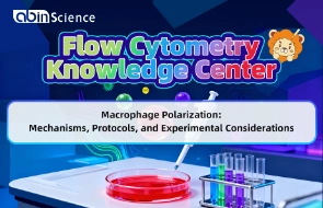 Macrophage Function and Detection Techniques | Macrophage Polarization: Mechanisms, Protocols, and Experimental Considerations