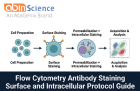 Flow Cytometry Staining Protocol: Surface vs Intracellular (Step-by-Step)