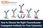 How to Choose the Right Fluorochrome-Conjugated Antibody for Flow Cytometry