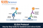 ELISA Protocol: Step-by-Step Guide for Sandwich and Indirect ELISA