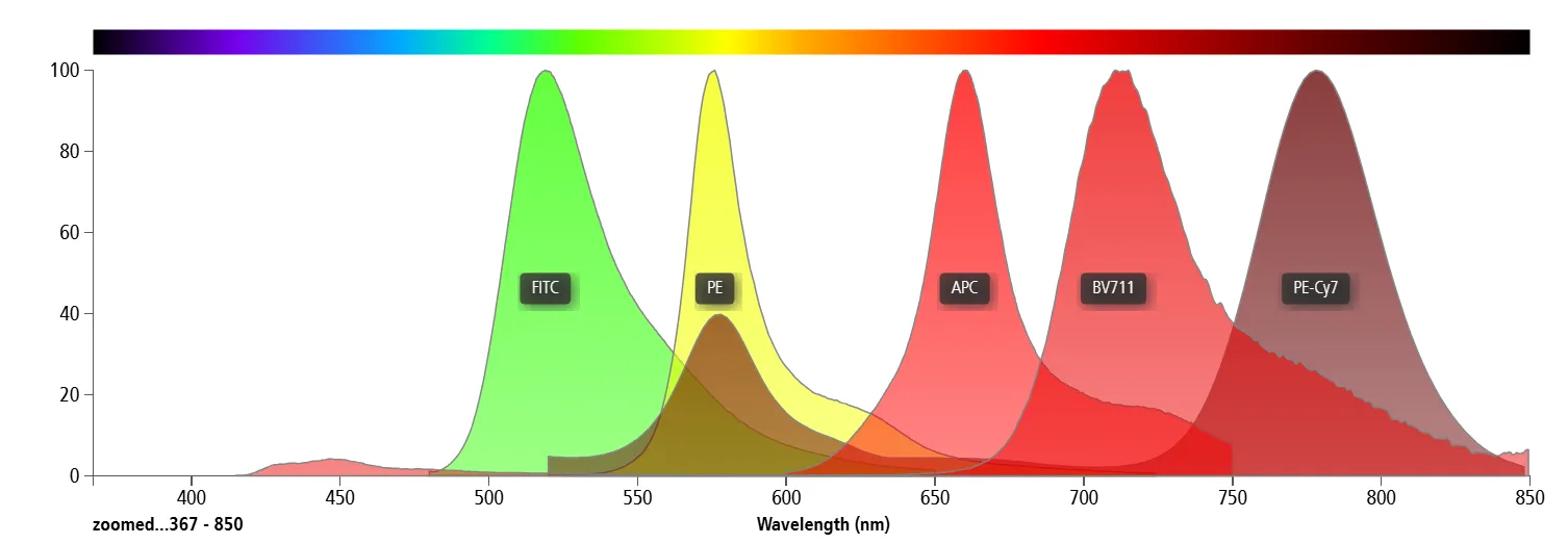 Spectral overlap between fluorochromes