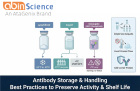 How to Store Antibodies: Temperature, Aliquoting & Shelf Life Guide