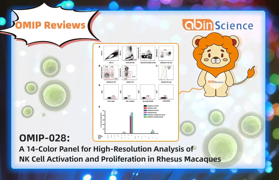 OMIP Reviews | OMIP-028: A 14-Color Panel for High-Resolution Analysis of NK Cell Activation and Proliferation in Rhesus Macaques