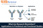 What Are Research Biosimilars? Applications in Preclinical and Functional Studies