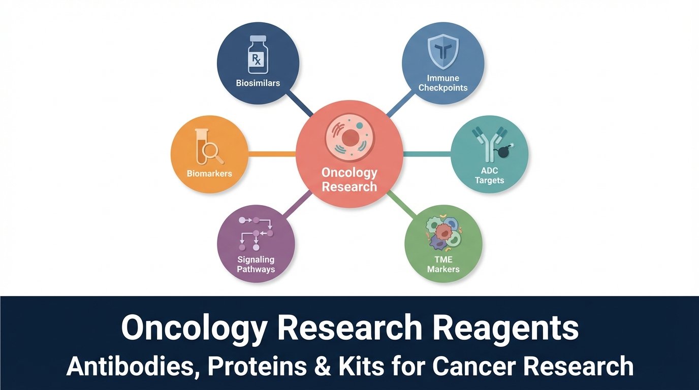 Oncology Research Reagents: Antibodies, Proteins & Kits for Cancer Research