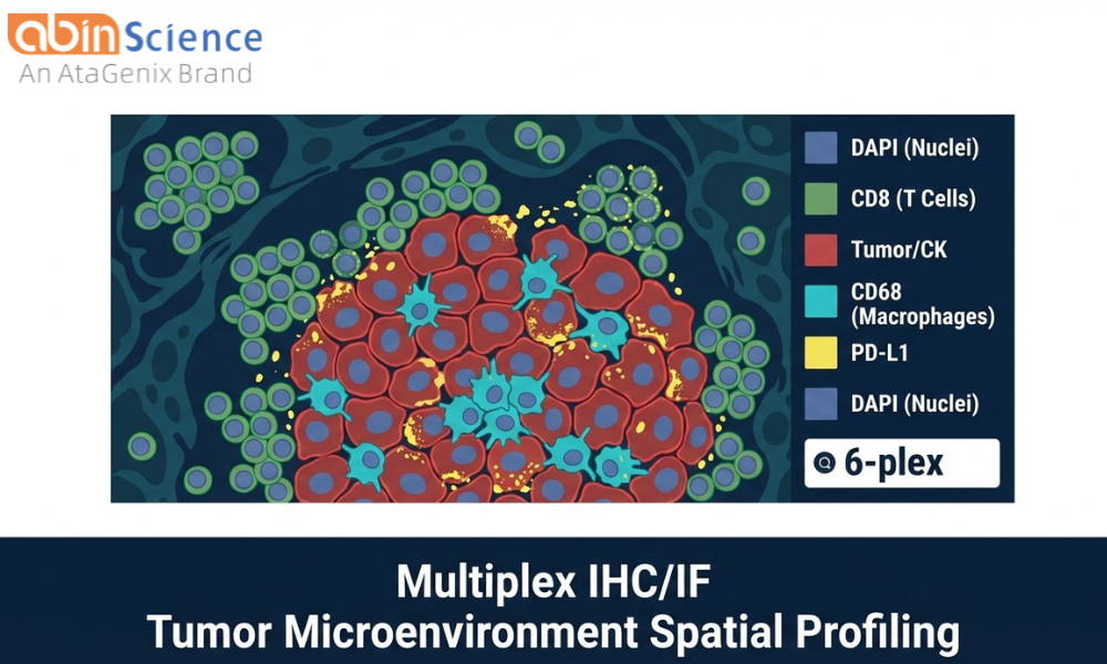 Multiplex IHC/IF for Tumor Microenvironment Profiling: Technical Guide
