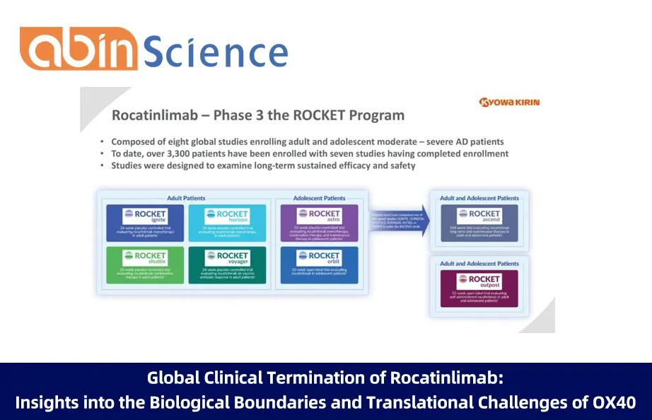 Global Clinical Termination of Rocatinlimab: Insights into the Biological Boundaries and Translational Challenges of OX40