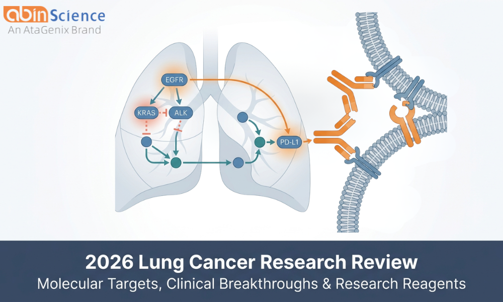 2026 Lung Cancer Research Review: Molecular Targets, Clinical Breakthroughs & Research Reagents