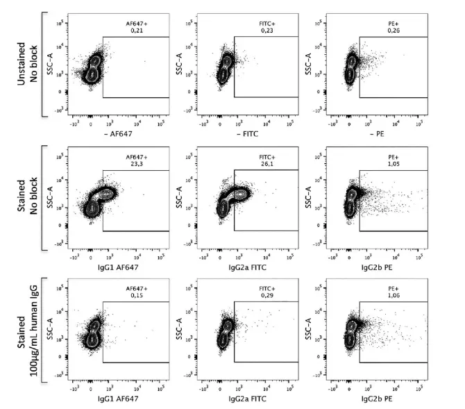 Comparative Analysis of Results With and Without Fc Receptor Blocking