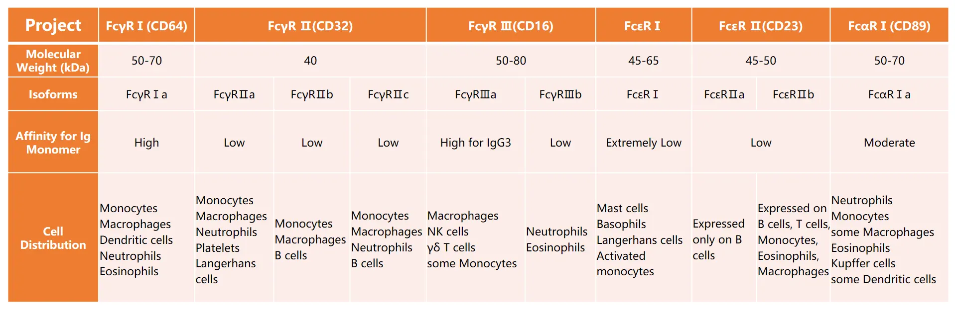 Comprehensive Summary of Fc Receptor Categories and Their Distribution on Human Leukocytes