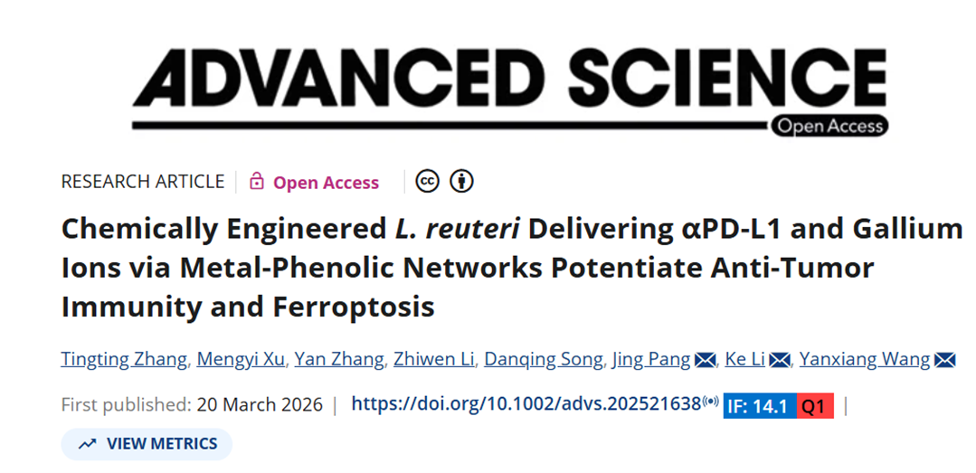 Chemically Engineered L. reuteri Delivering αPD-L1 and Gallium Ions via Metal-Phenolic Networks Potentiate Anti-Tumor Immunity and Ferroptosis