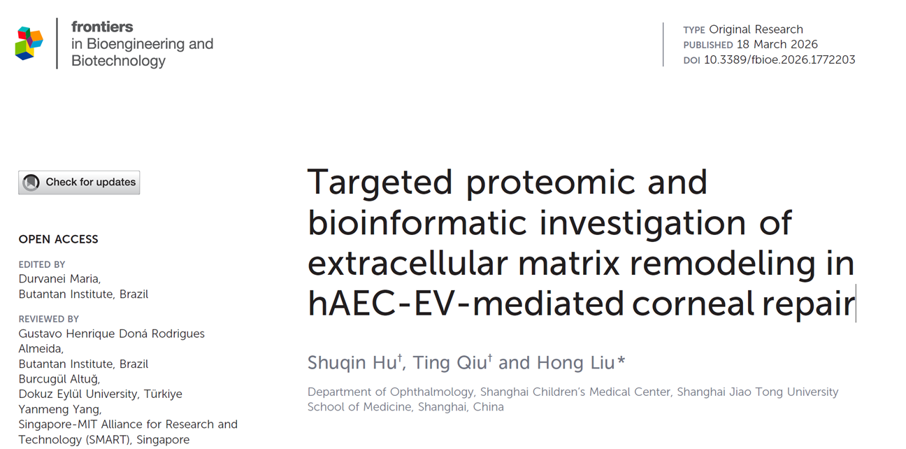 Targeted proteomic and bioinformatic investigation of extracellular matrix remodeling in hAEC-EV-mediated corneal repair