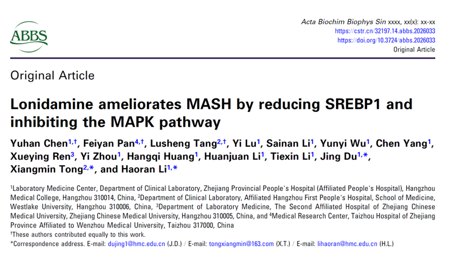 Lonidamine ameliorates MASH by reducing SREBP1 and inhibiting the MAPK pathway