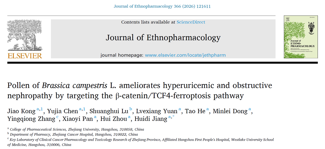 Pollen of Brassica campestris L. ameliorates hyperuricemic and obstructive nephropathy by targeting the β-catenin/TCF4-ferroptosis pathway
