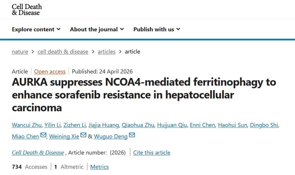 AURKA suppresses NCOA4-mediated ferritinophagy to enhance sorafenib resistance in hepatocellular carcinoma