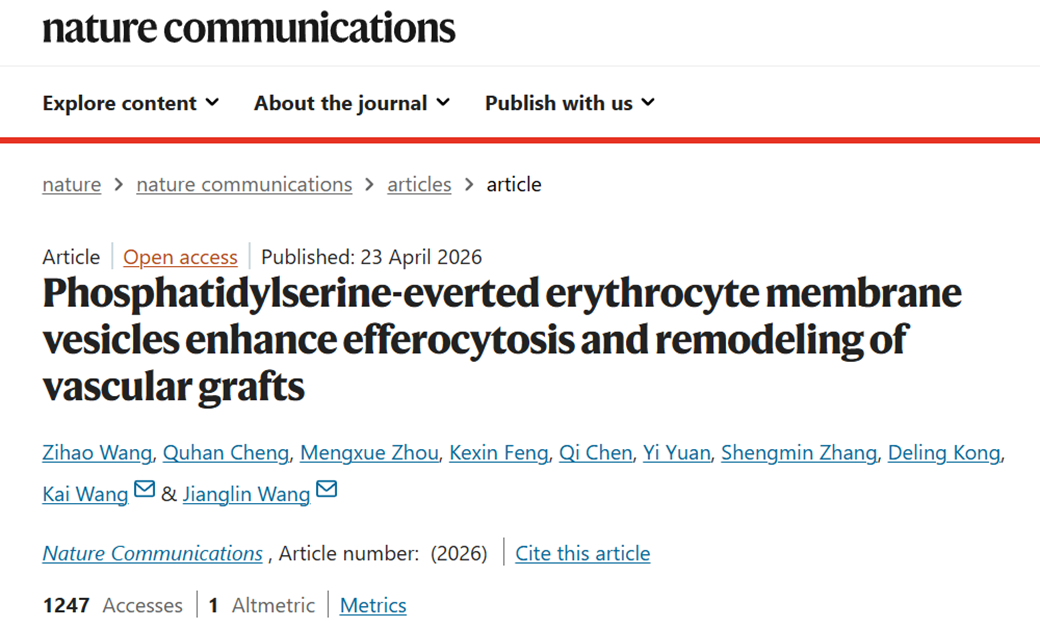 Phosphatidylserine-everted erythrocyte membrane vesicles enhance efferocytosis and remodeling of vascular grafts
