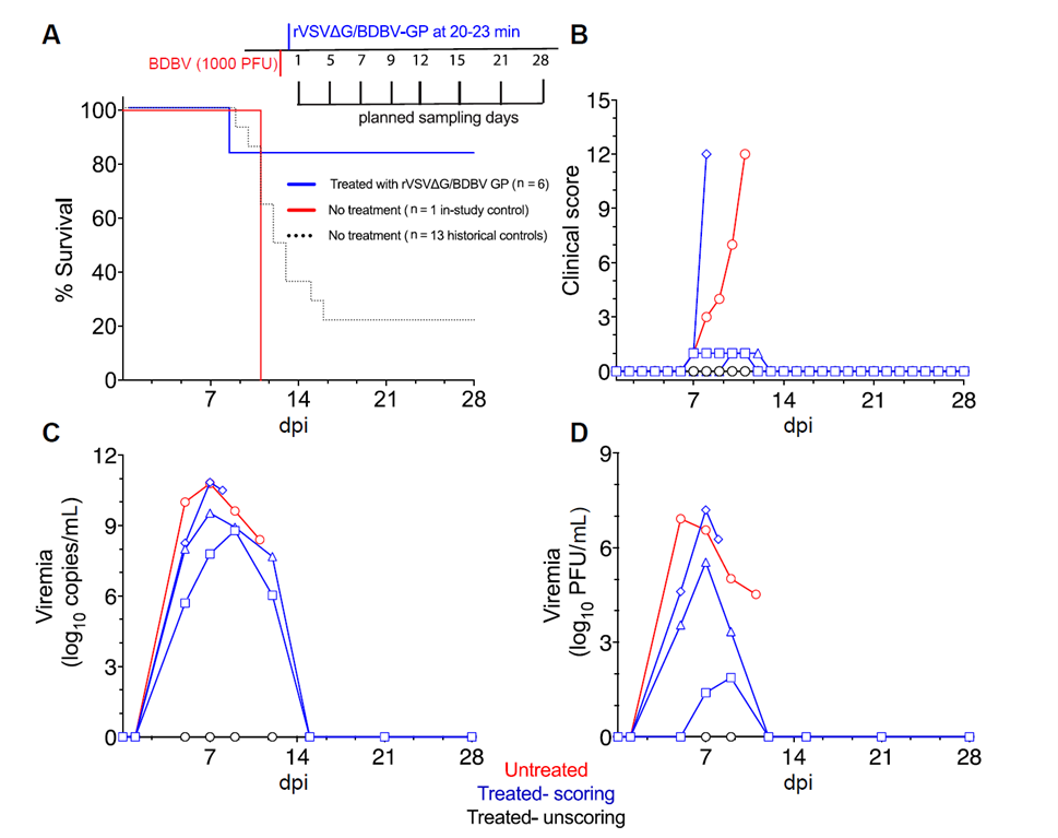 Survival outcomes and viral load comparisons in cynomolgus macaques following BDBV infection and rVSVΔG/BDBV-GP post-exposure treatment