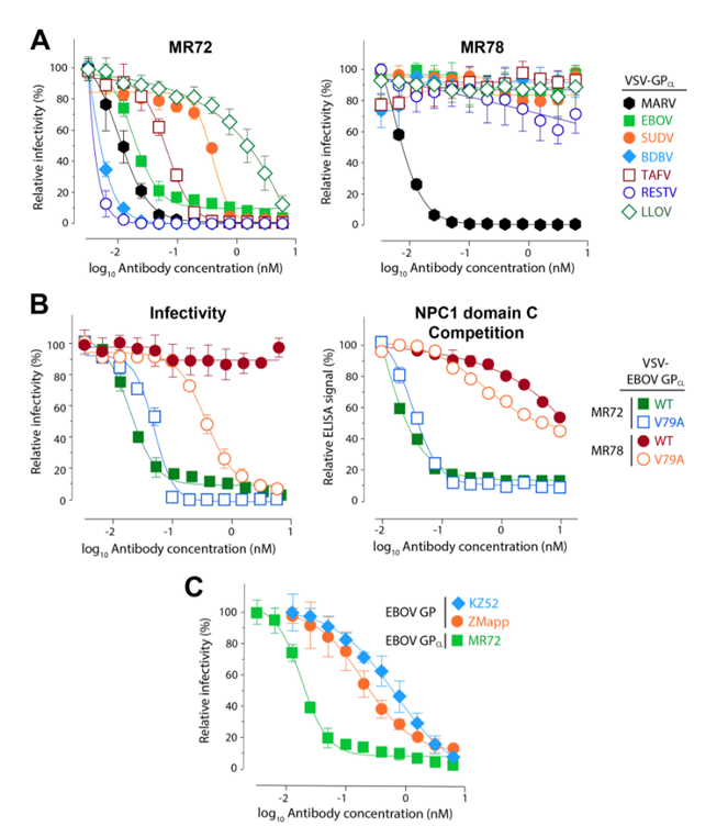 Monoclonal antibodies targeting the conserved GP1 receptor-binding site exhibit pan-filovirus neutralizing activity