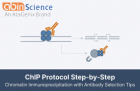 ChIP Protocol: Step-by-Step Chromatin Immunoprecipitation Guide with Antibody Selection Tips