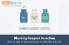 Blocking Reagent Selection: BSA vs Milk vs Normal Serum for WB, IHC, and ELISA