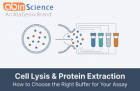 Cell Lysis and Protein Extraction: How to Choose the Right Buffer for Your Assay