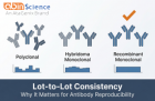 What Is Lot-to-Lot Consistency? Why It Matters for Antibody Reproducibility