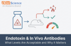 What Is Endotoxin Level and Why Does It Matter for In Vivo Antibodies?