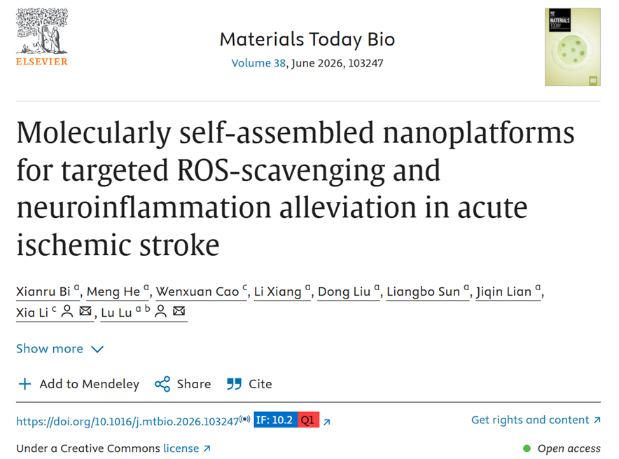 Molecularly Self-Assembled Nanoplatforms for Targeted ROS-Scavenging and Neuroinflammation Alleviation in Acute Ischemic Stroke