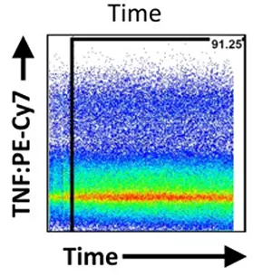 Excluding unstable fluidic signals using a Time gate