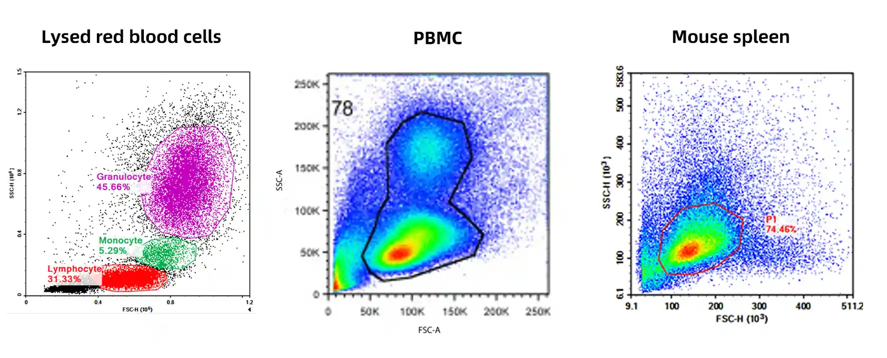 Representative FSC/SSC plots across different sample types