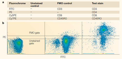Gating boundaries defined by FMO controls