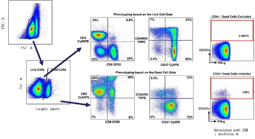 Interference of dead cells on experimental outcomes