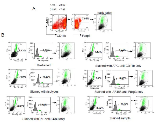 The results of autofluorescence interference experiments 