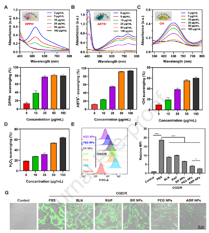 ROS scavenging activity of ABR nanoparticles