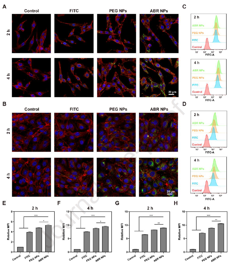 Cellular uptake of ABR nanoparticles