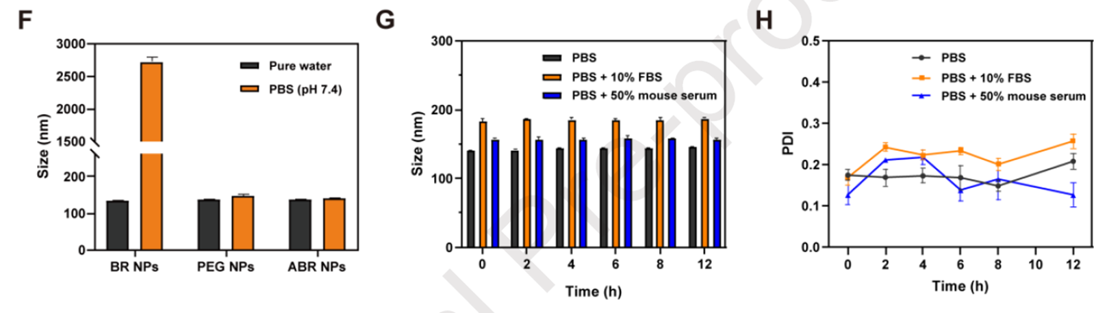 PEGylation enables ABR NPs to remain stable across multiple physiological media