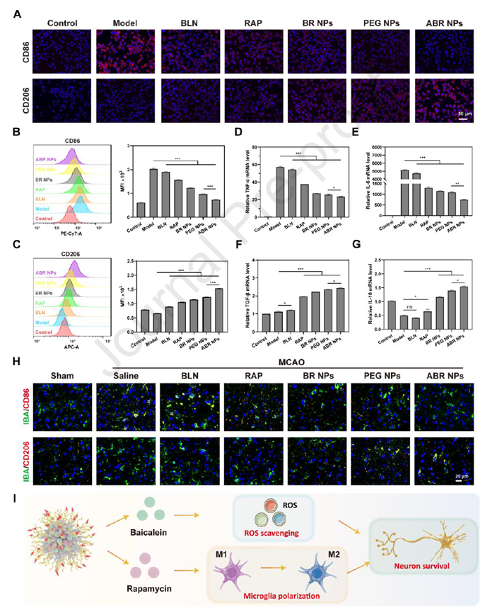 ABR nanoparticles suppress M1 microglial polarization and reshape the anti-inflammatory microenvironment