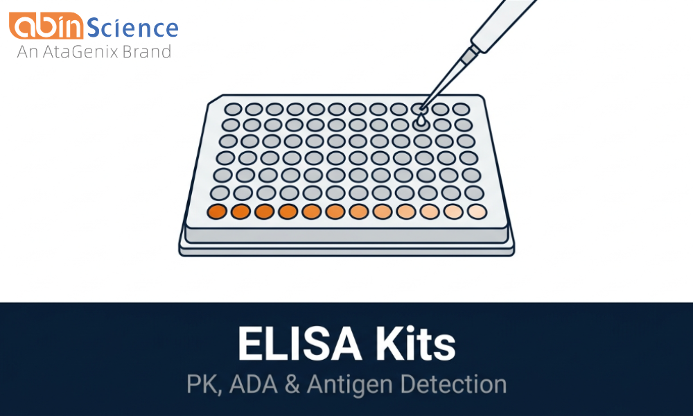ELISA Kits &mdash; PK Drug Monitoring, ADA Detection & Antigen Screening
