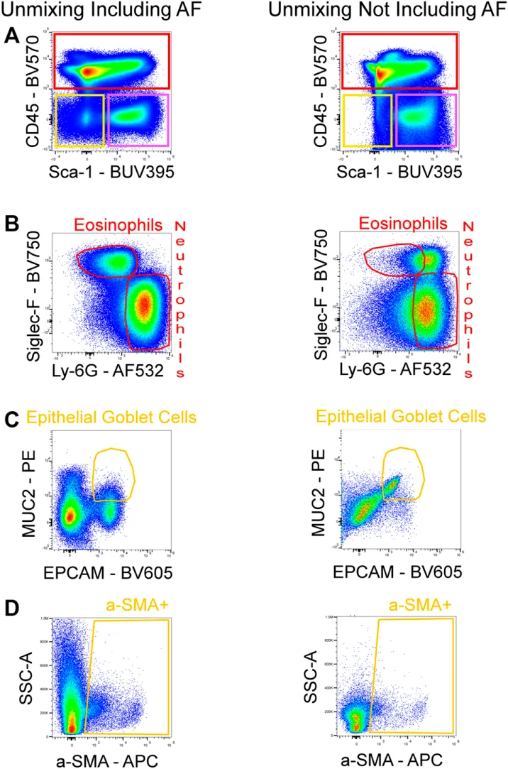 Impact of autofluorescence on experimental results