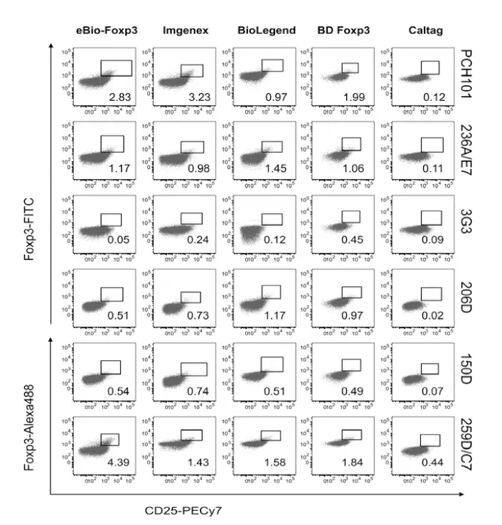 Differential post-fixation performance among distinct FoxP3 antibody clones